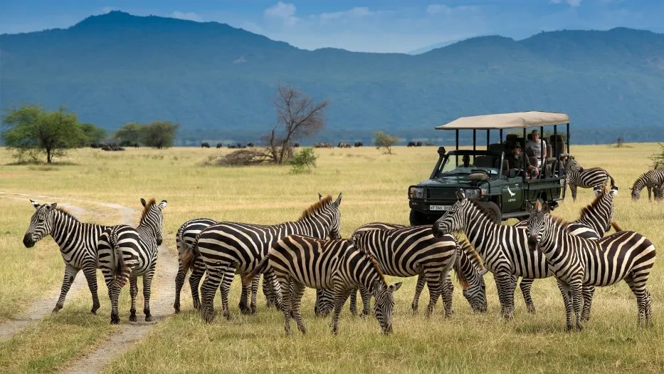 6609 african safari honeymoon destination
