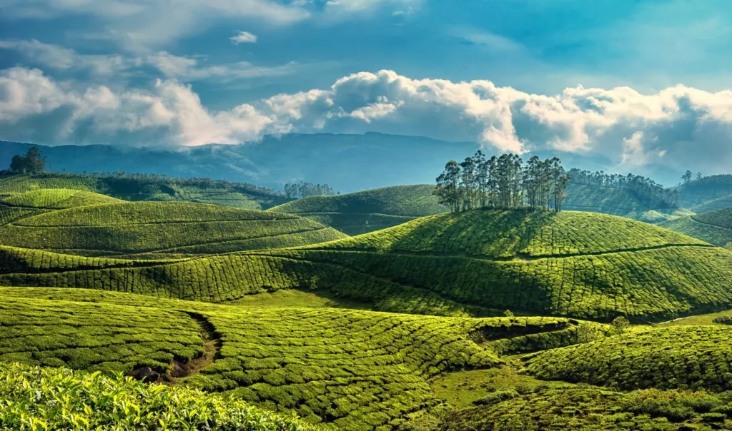 6613 kerala honeymoon