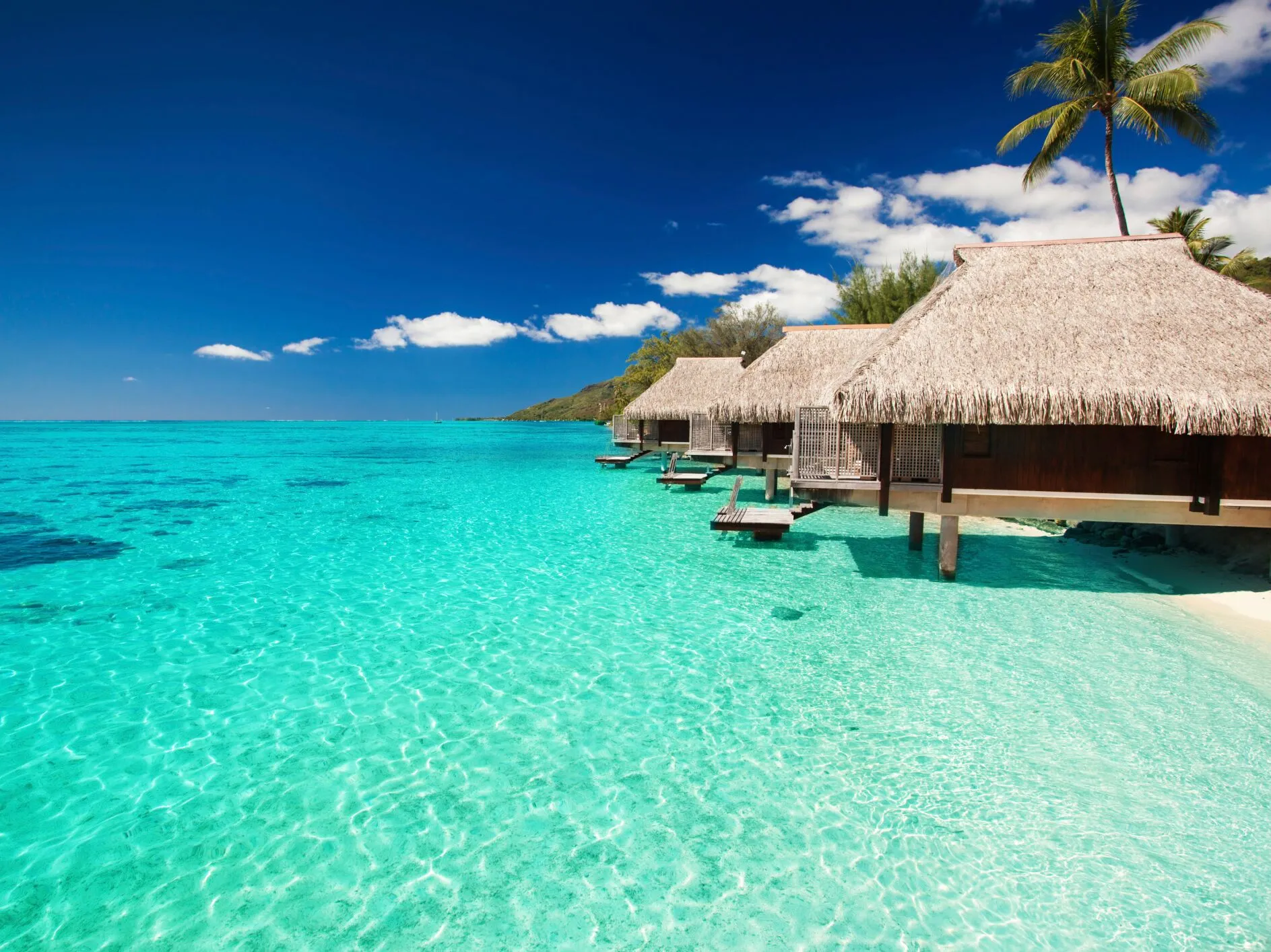 /img/6704-couple-travel.webp
