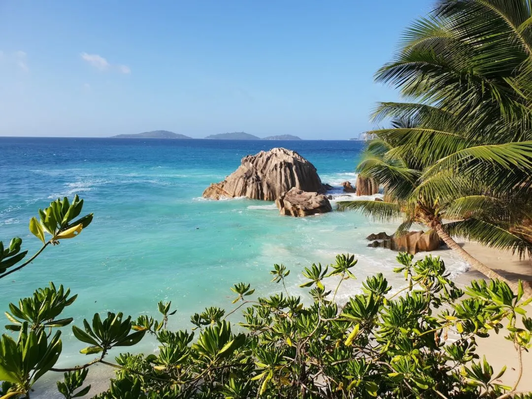 6731 fiji honeymoon