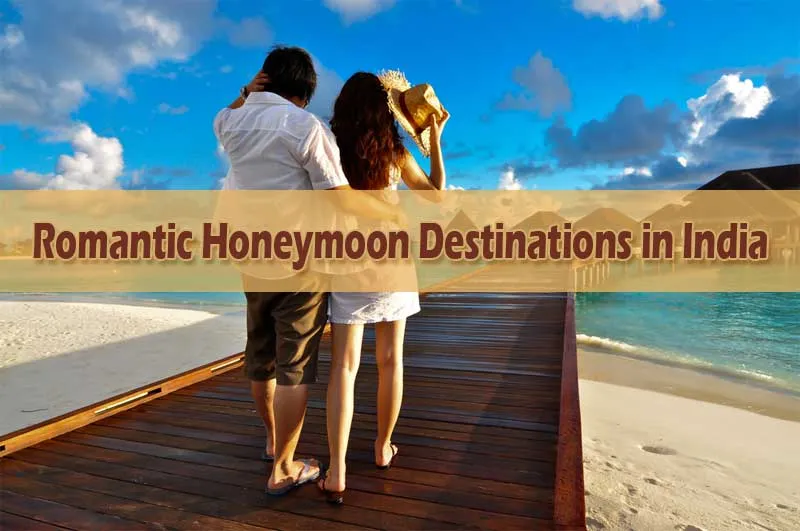6739 maldives honeymoon