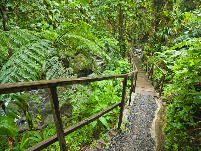 6746 dominica honeymoon aerial view