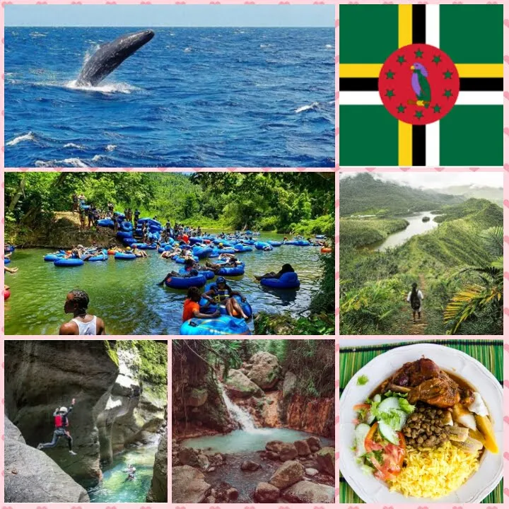 6746 dominica honeymoon diving snorkeling