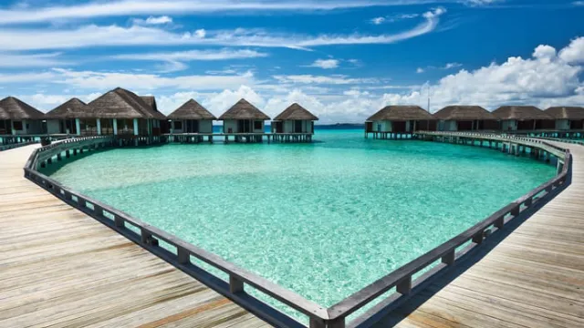 6879 bora bora honeymoon