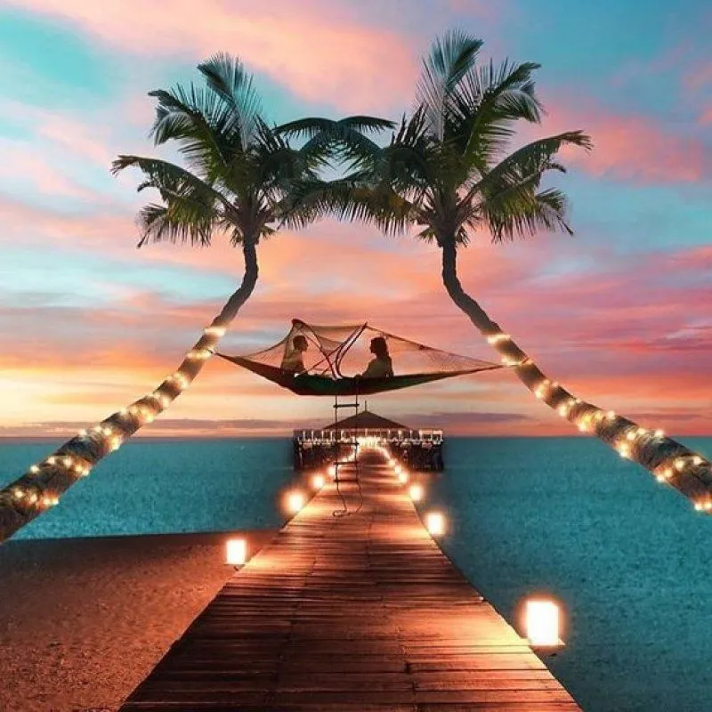 6879 maldives honeymoon
