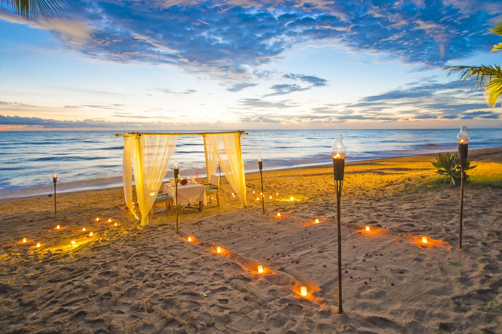 6918 phuket honeymoon dinner